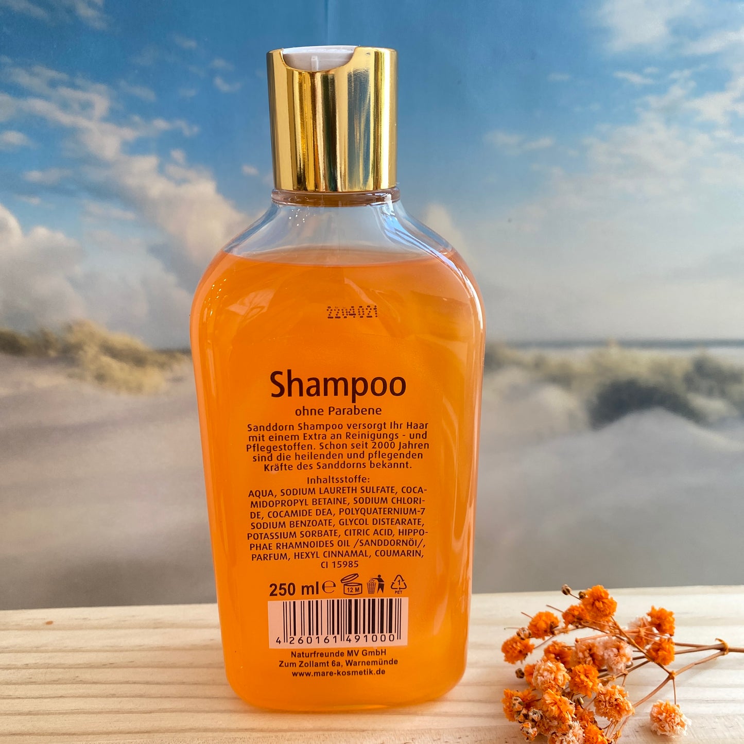 Sanddorn Shampoo