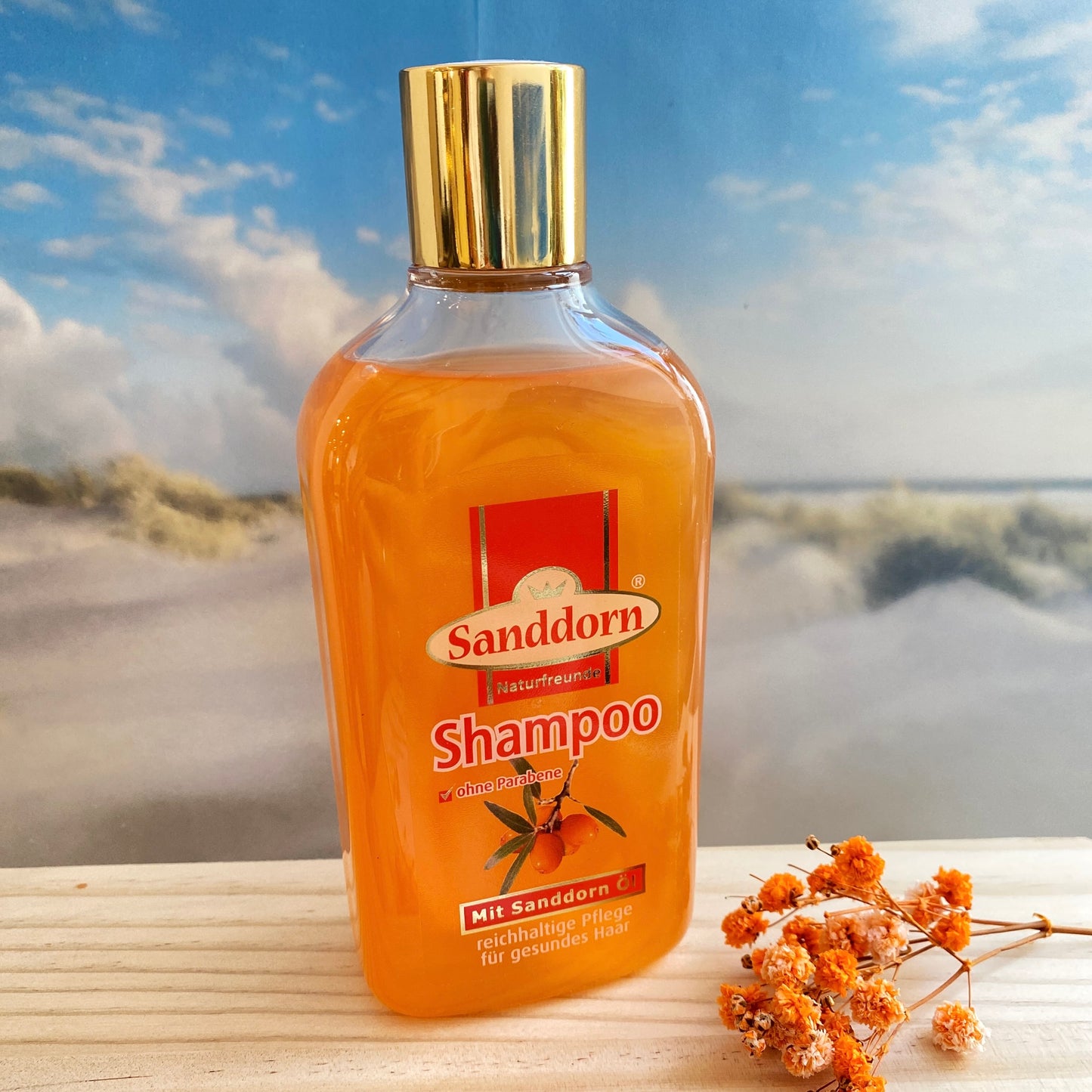 Sanddorn Shampoo